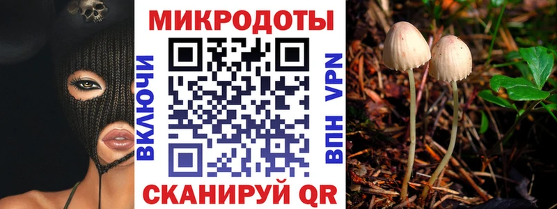 Галлюциногенные грибы MAGIC MUSHROOMS  закладка  Новый Оскол 